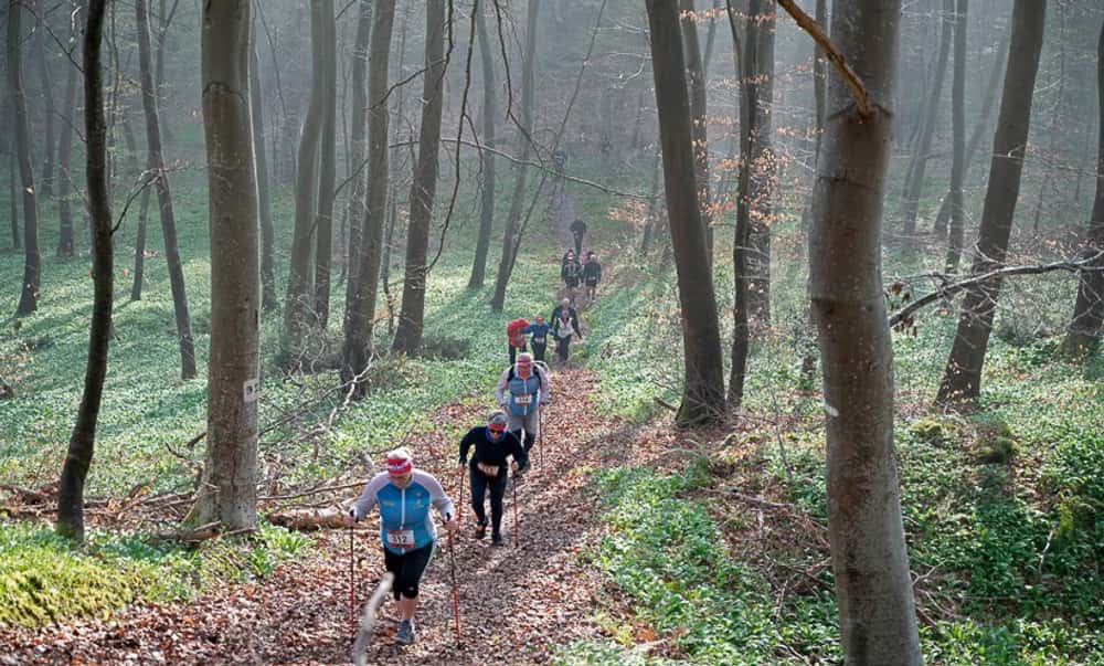 X'Trail Macadam - Photo 3