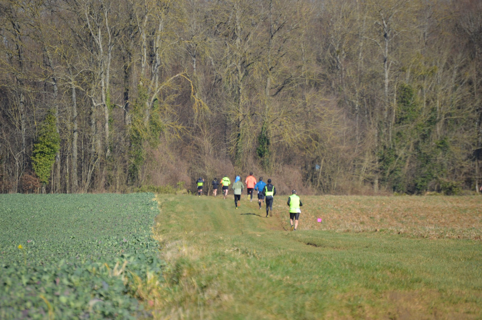 La reprise - Photo 4