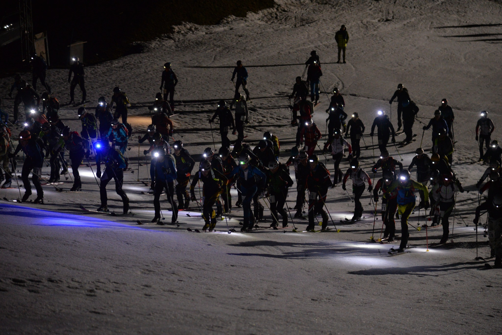 La Verte à l'envers