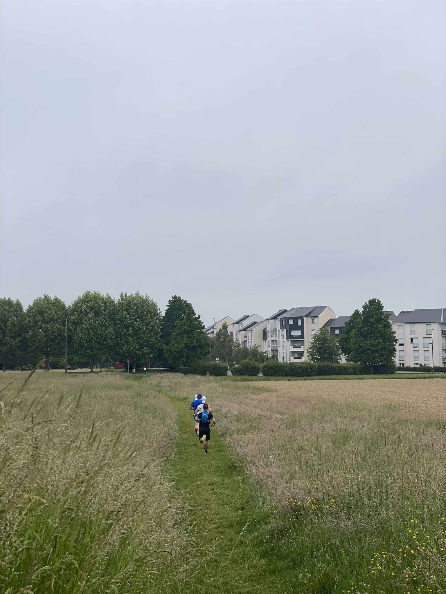 Trail du Chêne fourchu - Photo 5