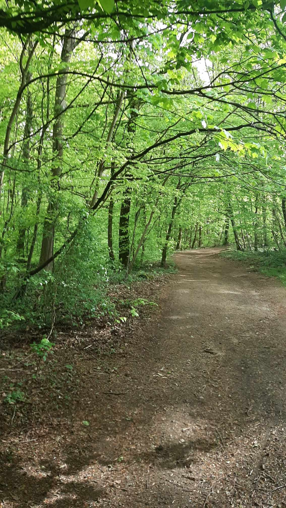 La longlav'run - Photo 3