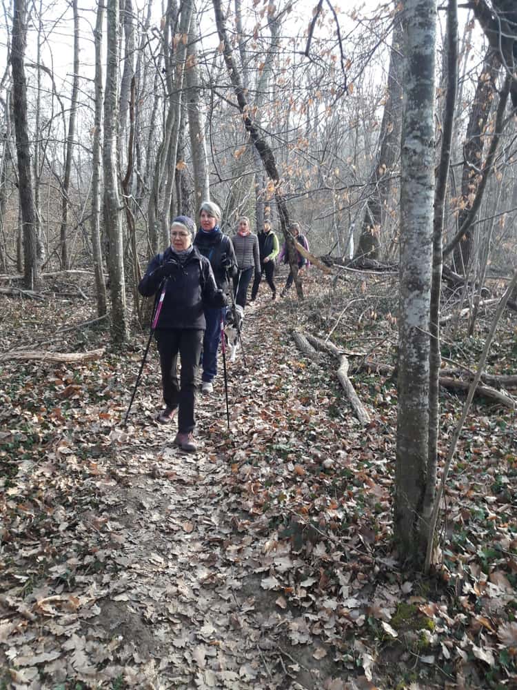 Ronde du Saint-Marcellin - Photo 4