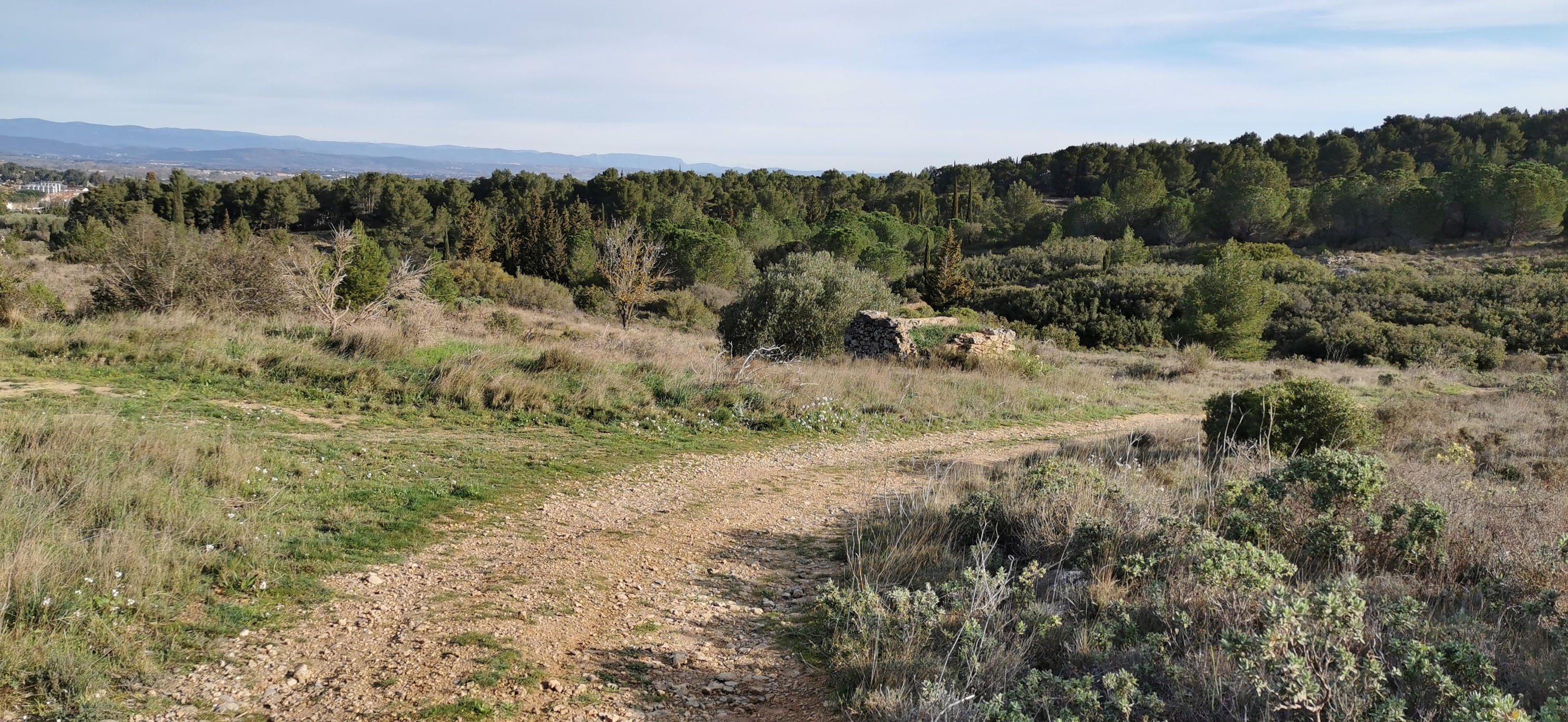 Foulée des éoliennes - Photo 2