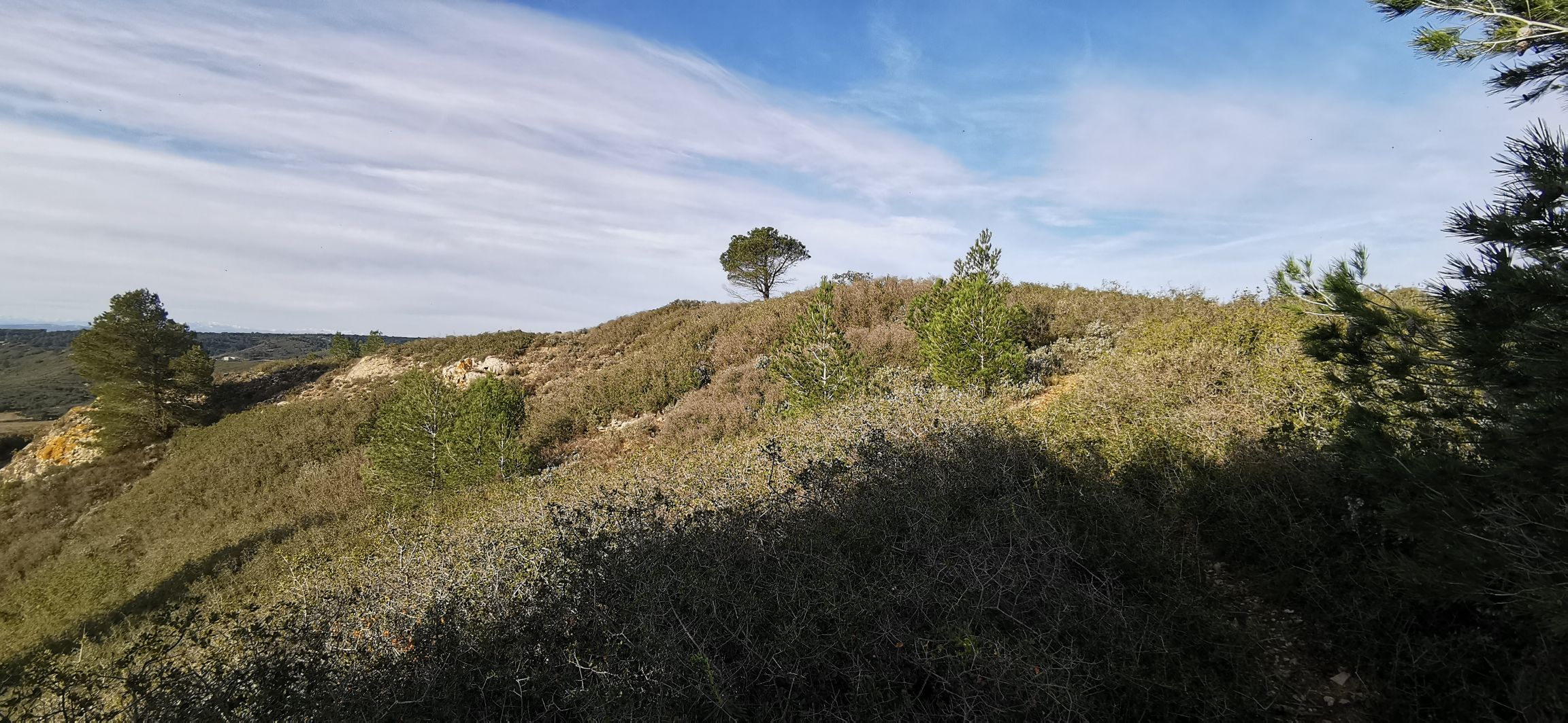 Foulée des éoliennes - Photo 4