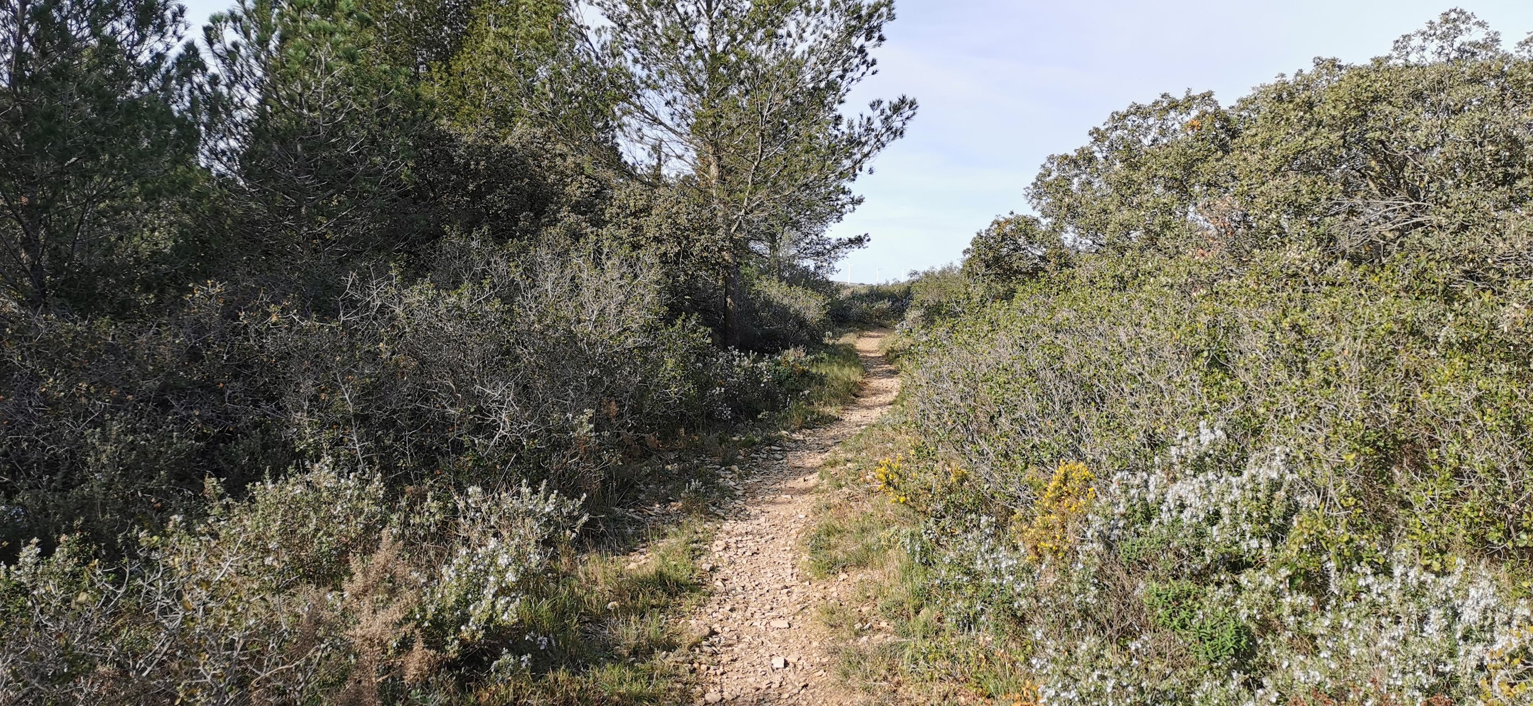 Foulée des éoliennes - Photo 5