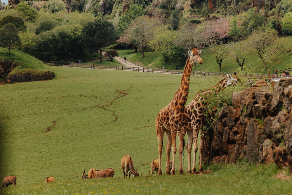 Race Across Spain - Photo 4