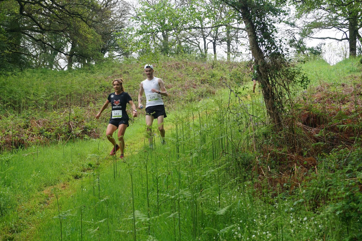 Trail et fines herbes