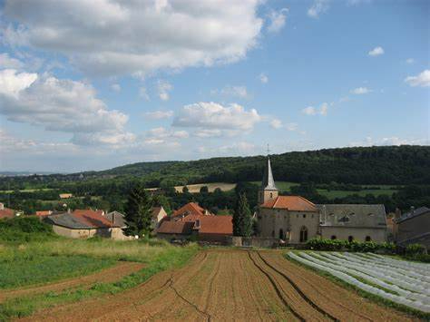 Trail du Ruisseau de Saulny - Photo 2