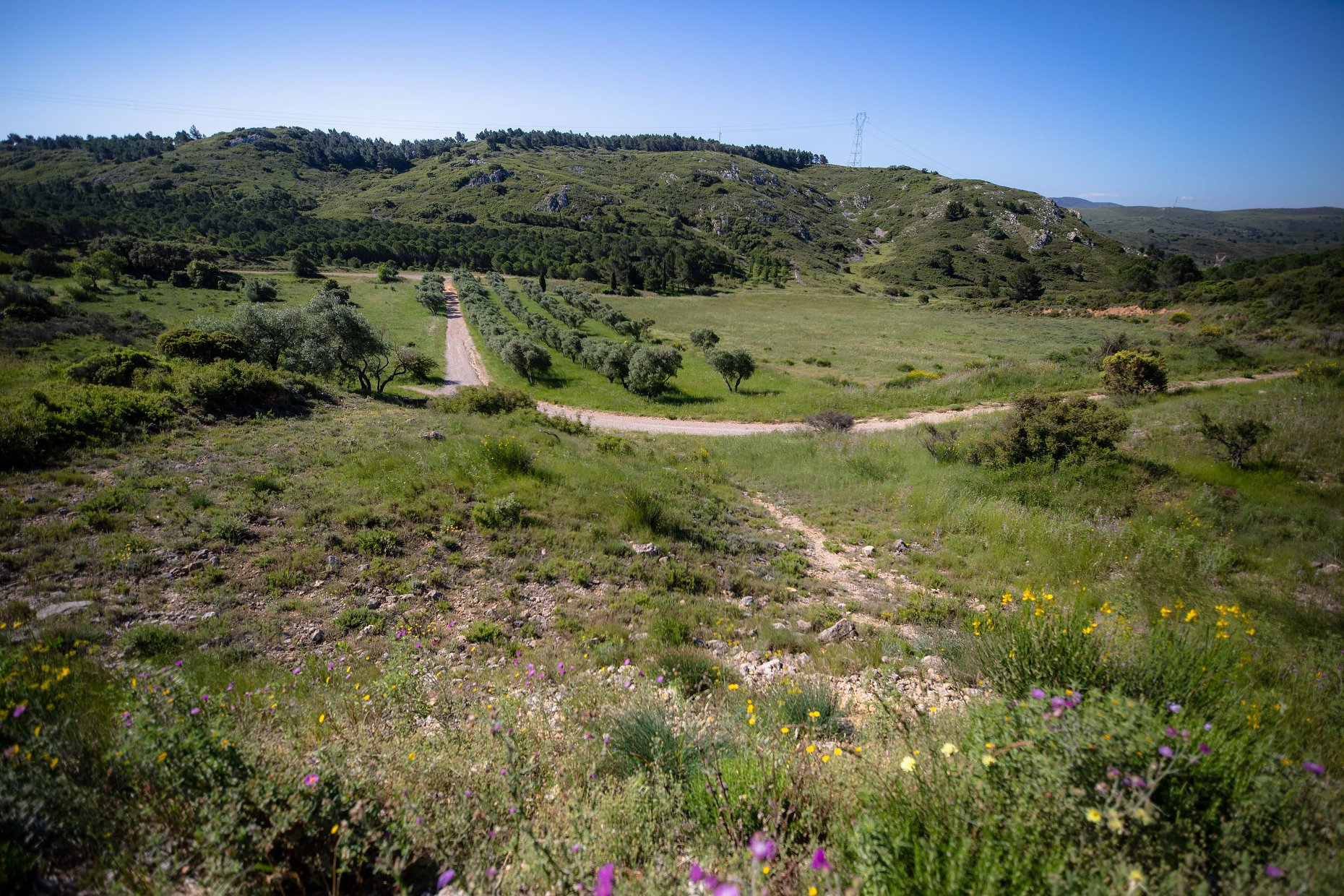 Les sentiers de la Campane
