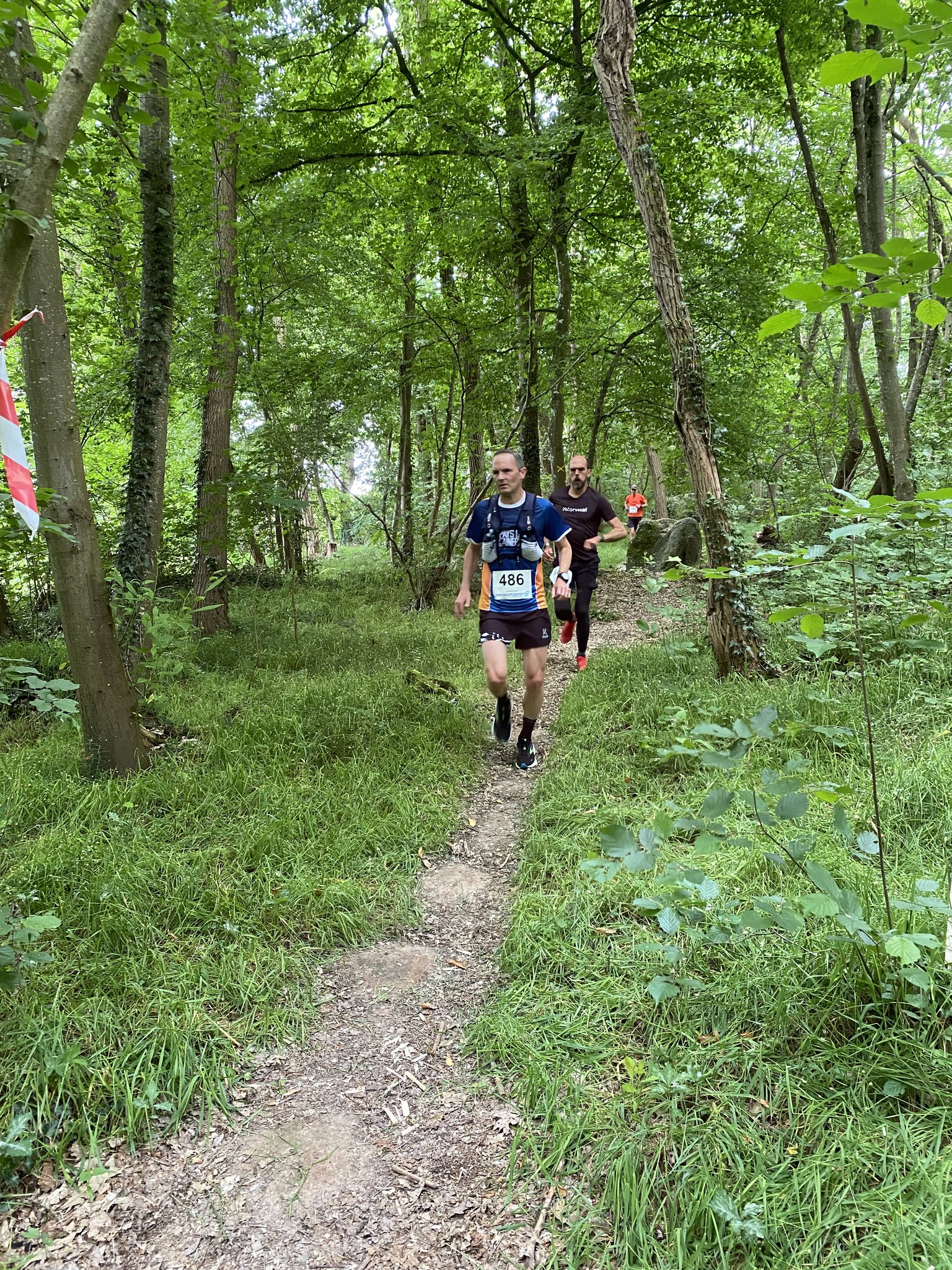 La buissonnière - Photo 2