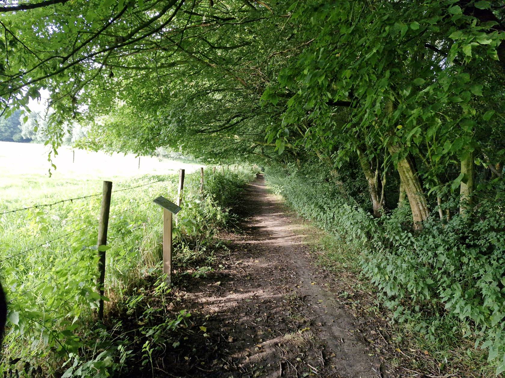 La belle évasion Flamande - Photo 3