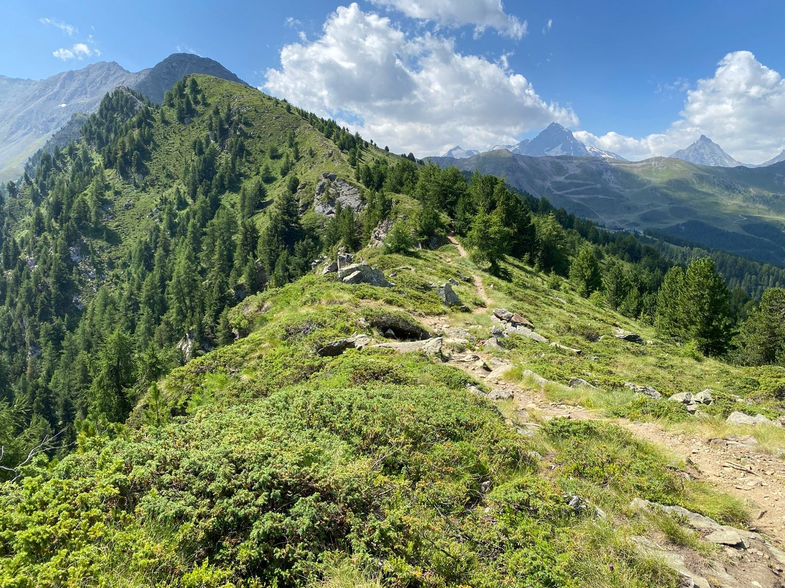 RunThrough Trails Pila