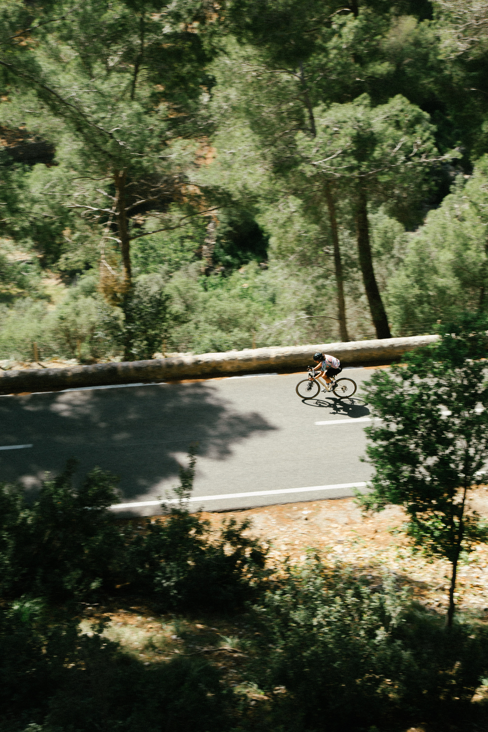 Tiramisu Express - Photo 4