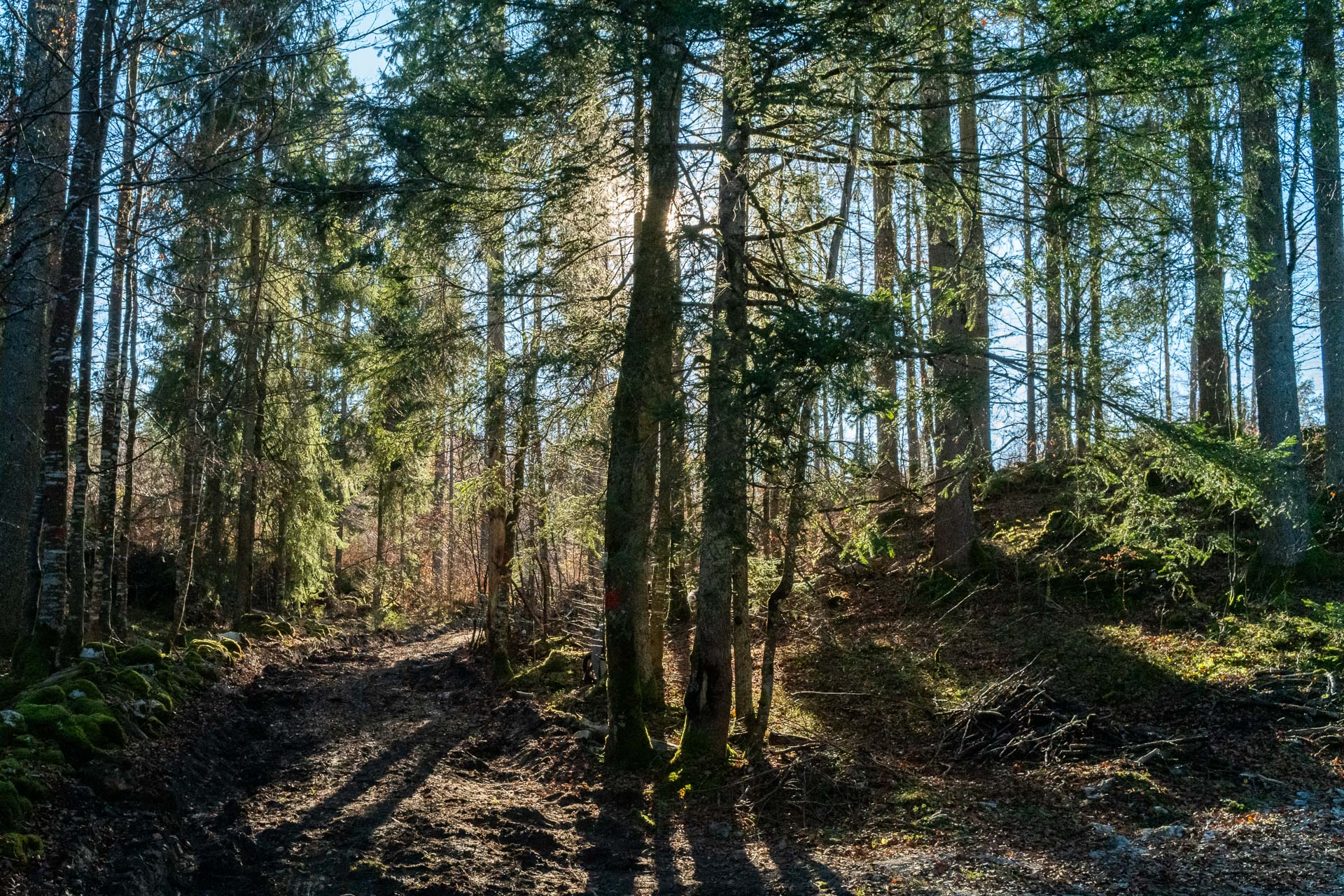 Trail du Lynx Jurassien - Photo 2