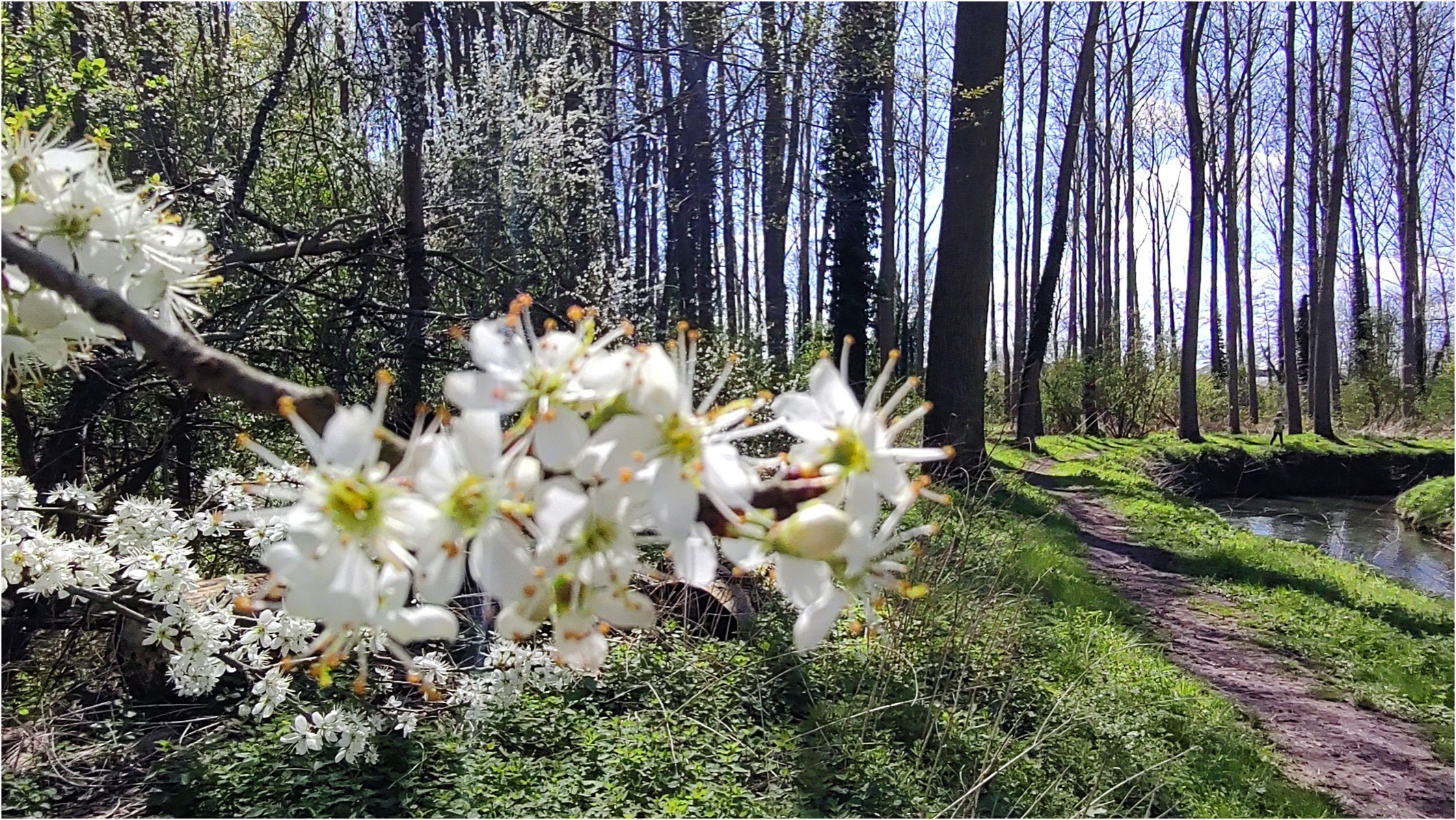 MUT Trail Festival - Photo 4