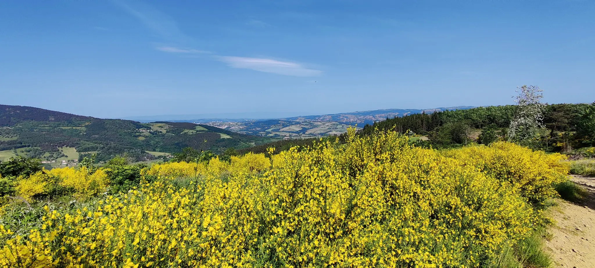 Zeoff - Massif du pilat