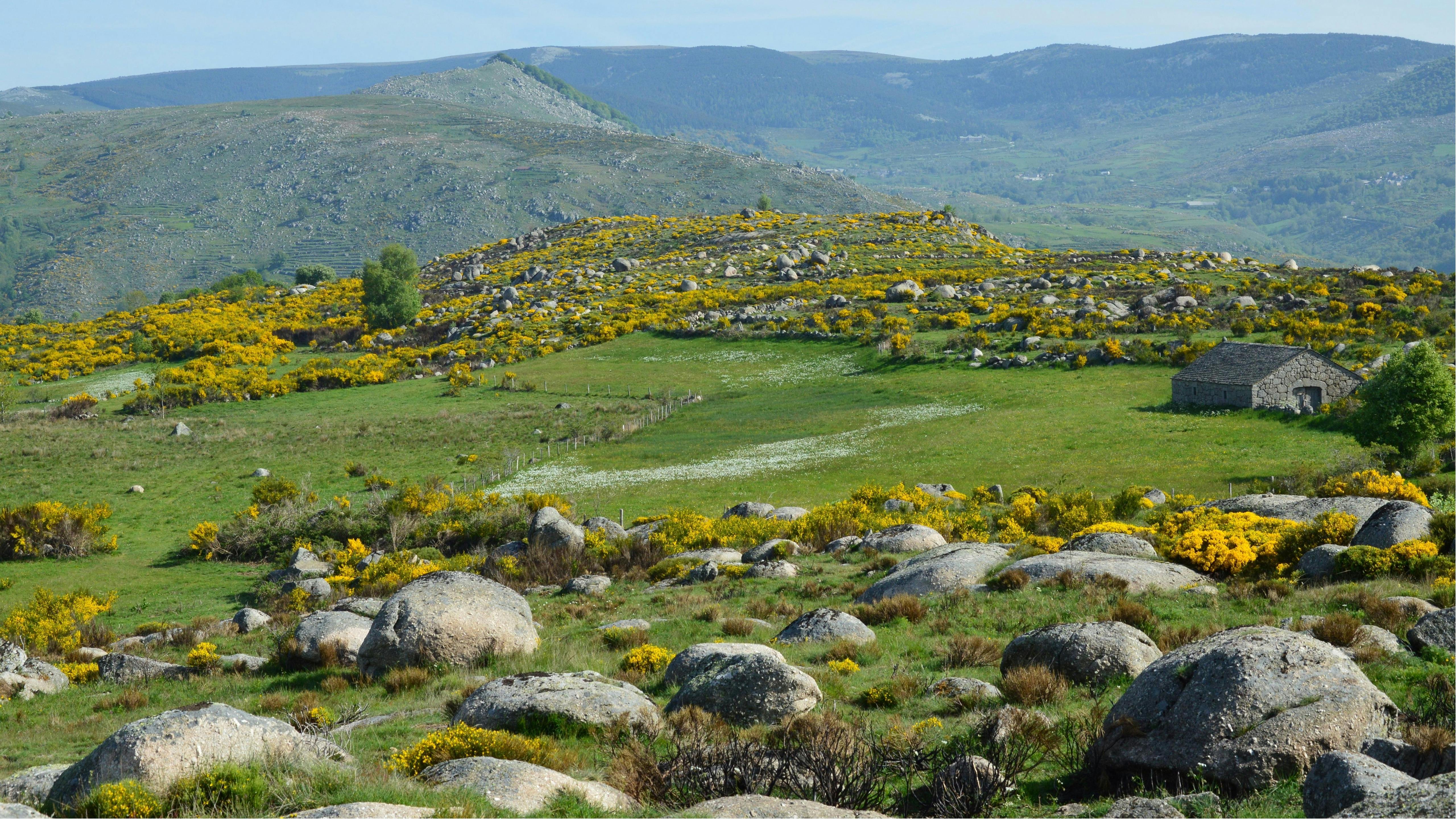 Zeoff - Cévennes - Photo 4