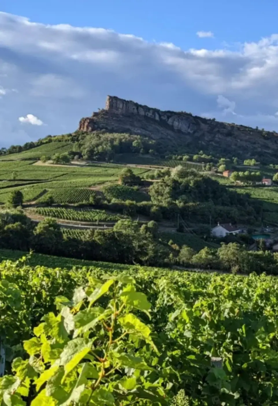 Trail Des Arts - Photo 5