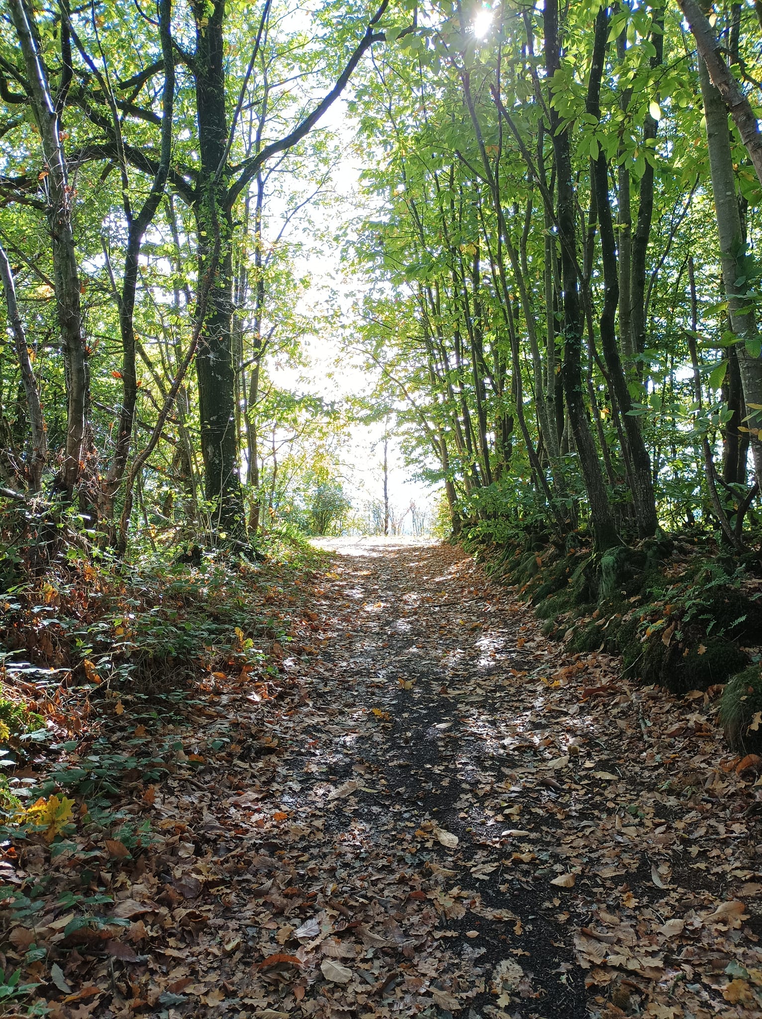 Trail de la vallée de la Souleuvre
