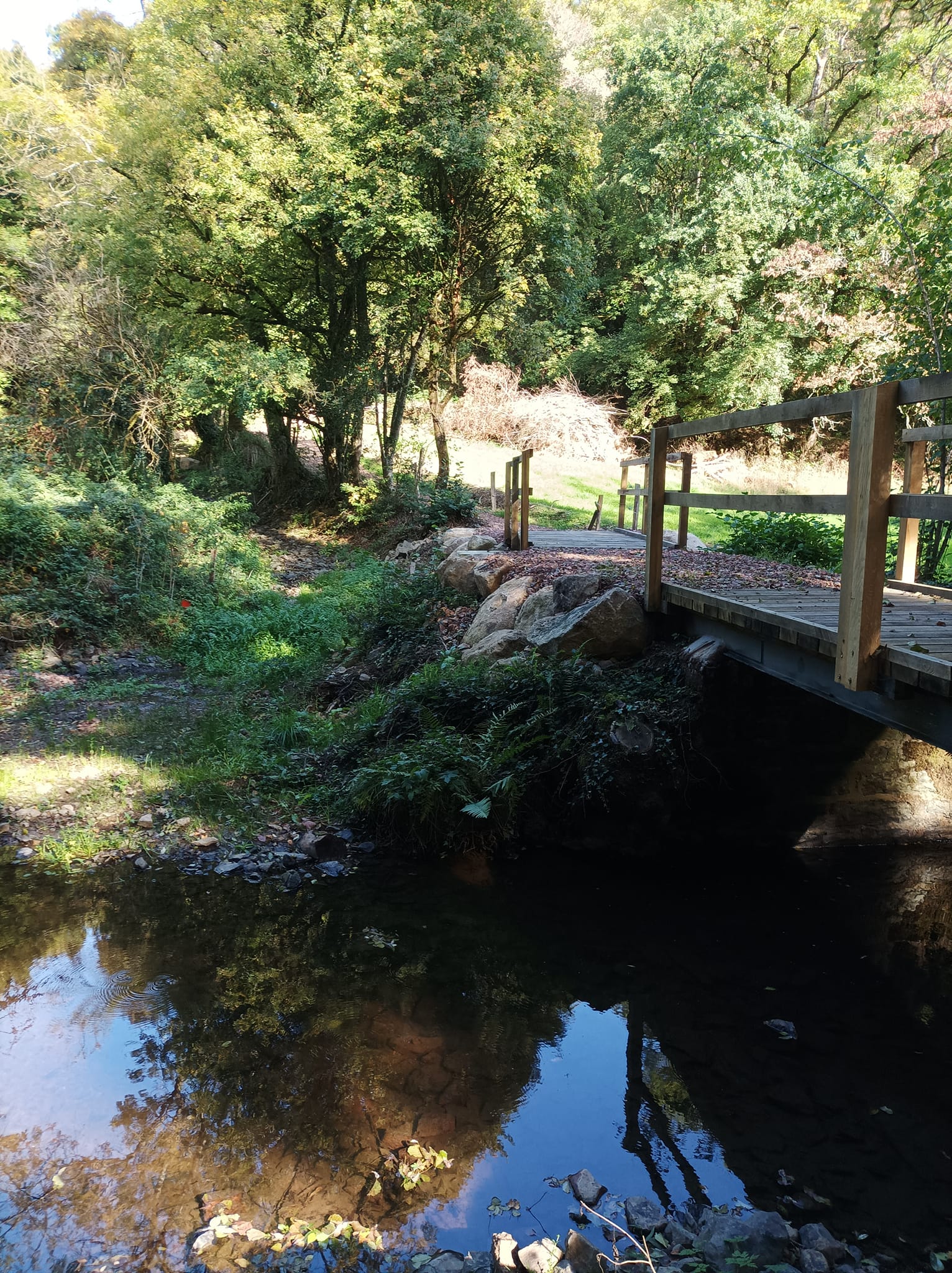 Trail de la Transylvestre