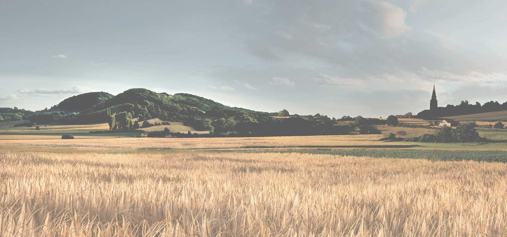 Trail des 3 monts - Photo 3