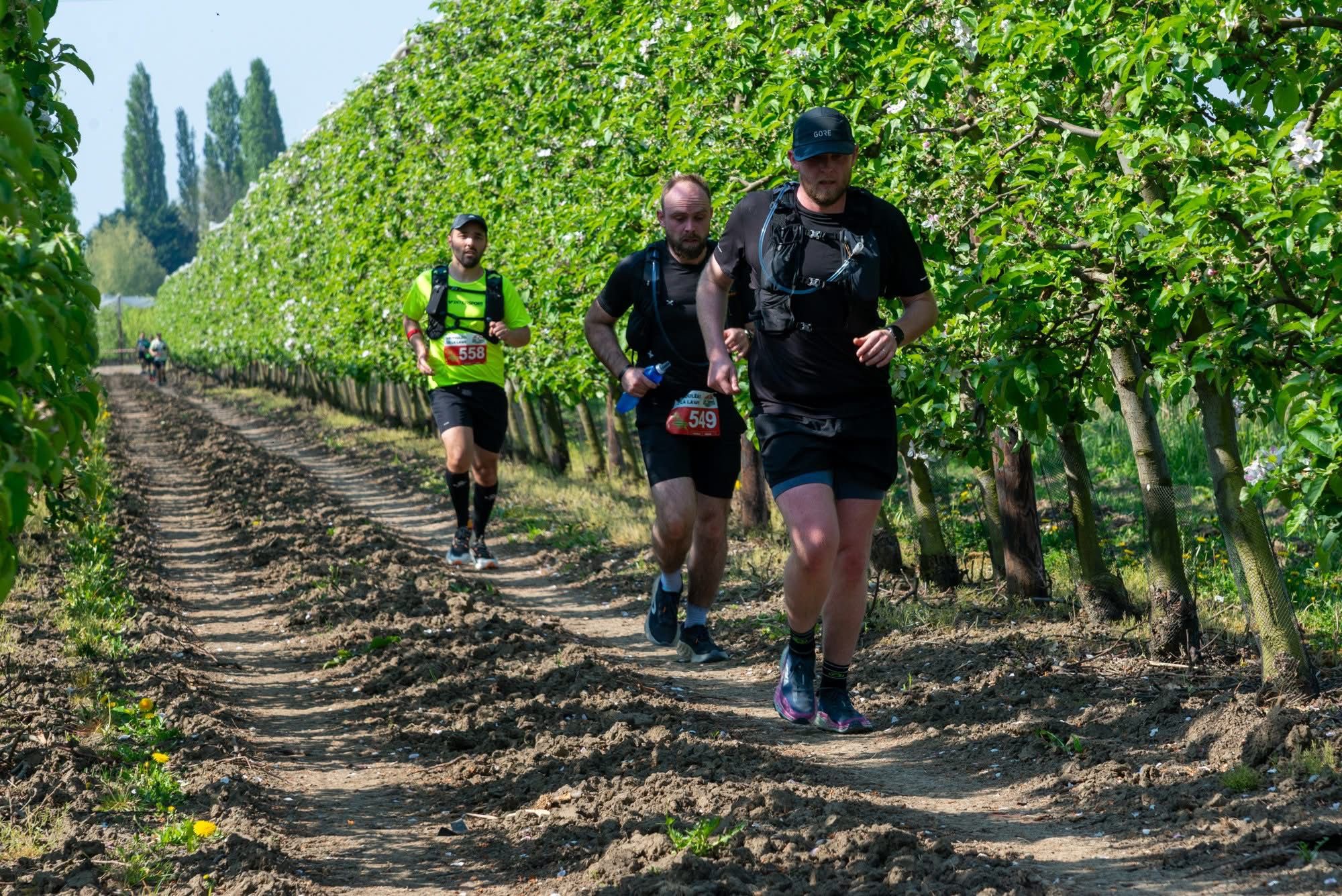 Les foulées de la Lawe