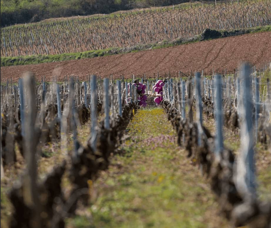 Marathon des vins de la côte chalonnaise - Photo 5