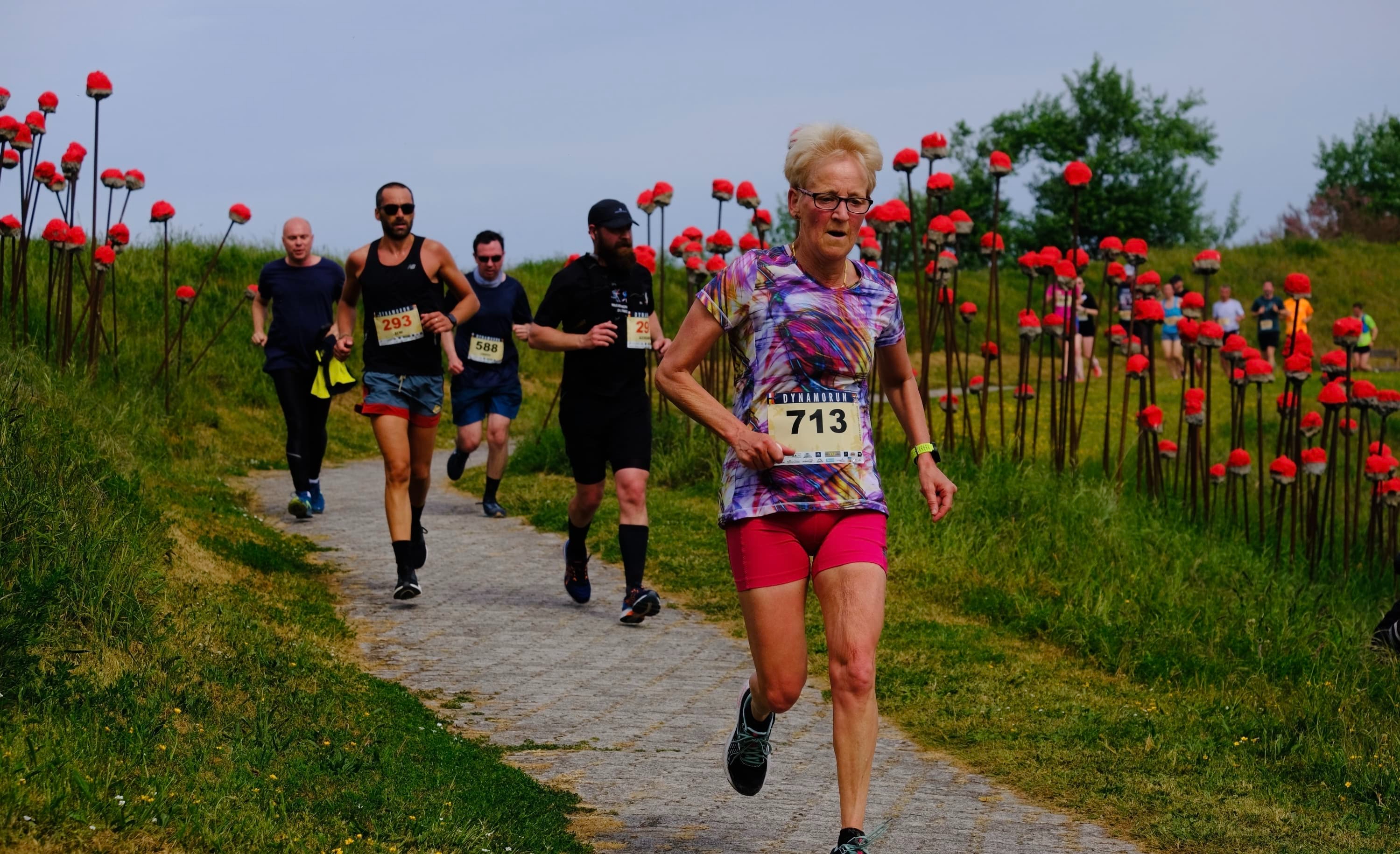 La dynamorun - Photo 5