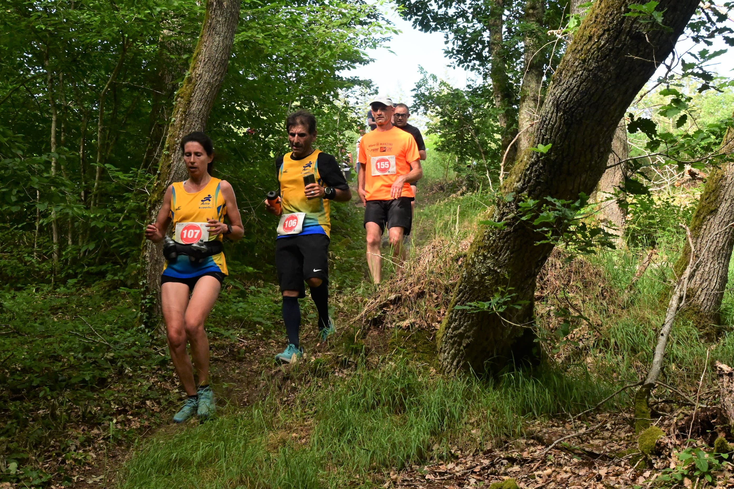 Trail du Mont Dardon