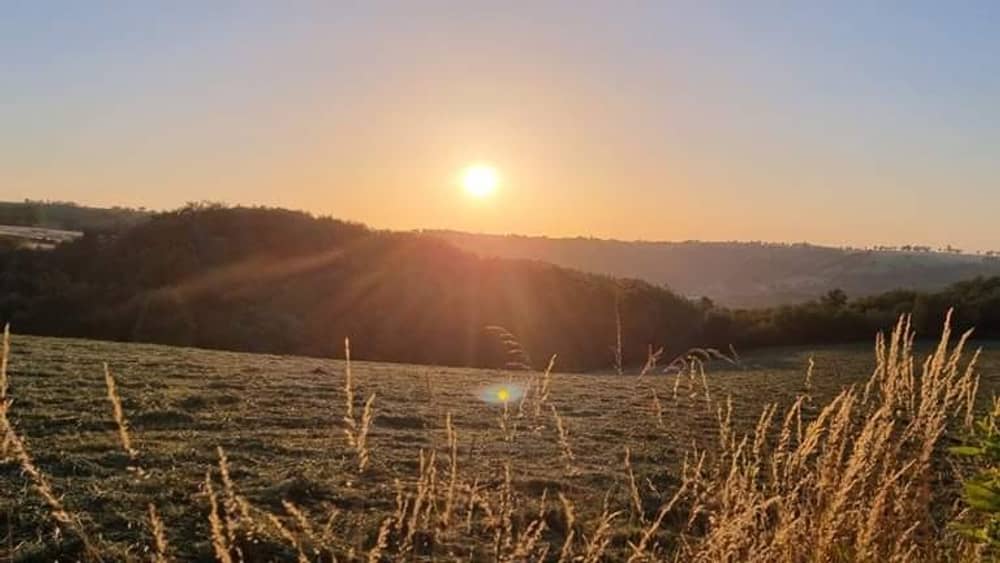Trail des prés verts - Photo 4