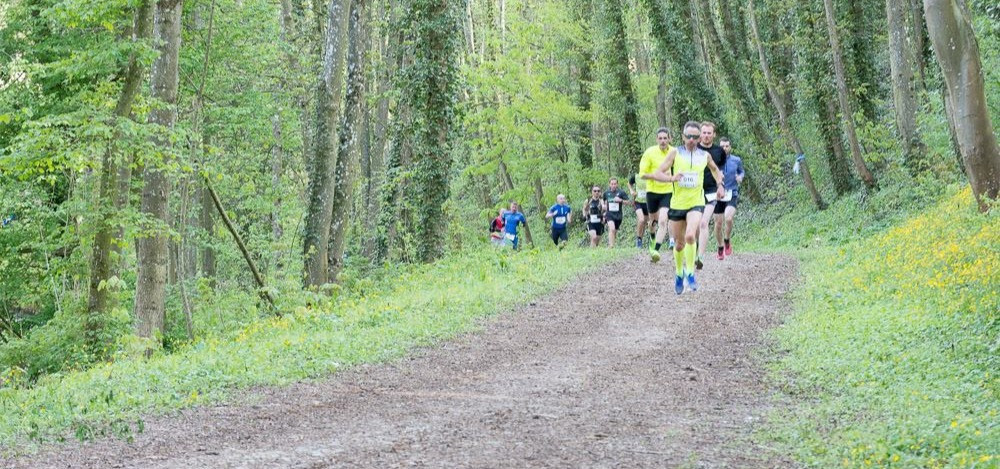Trail du saintois - Photo 3