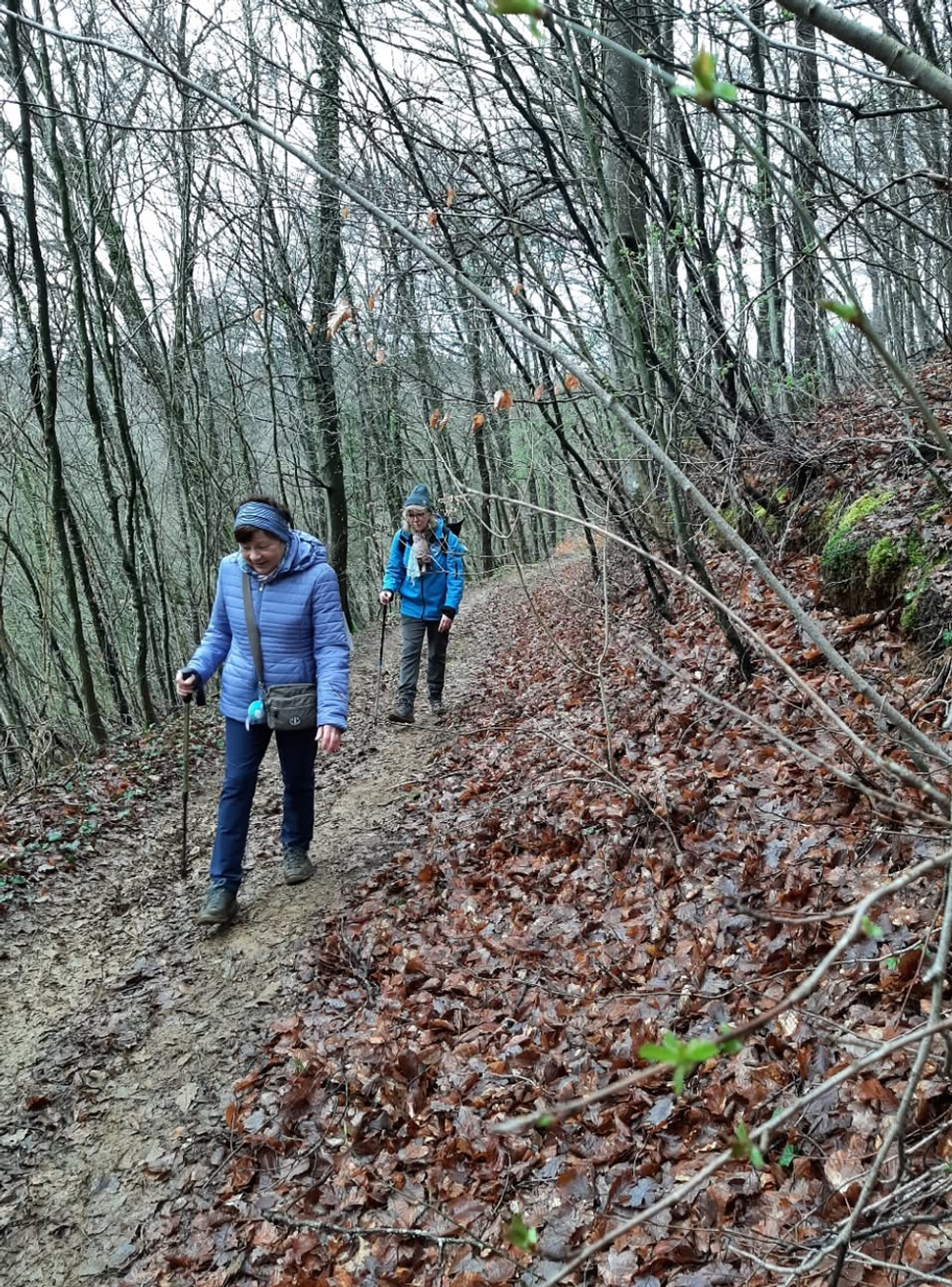 Trail urbain Daniel Feite - Photo 2