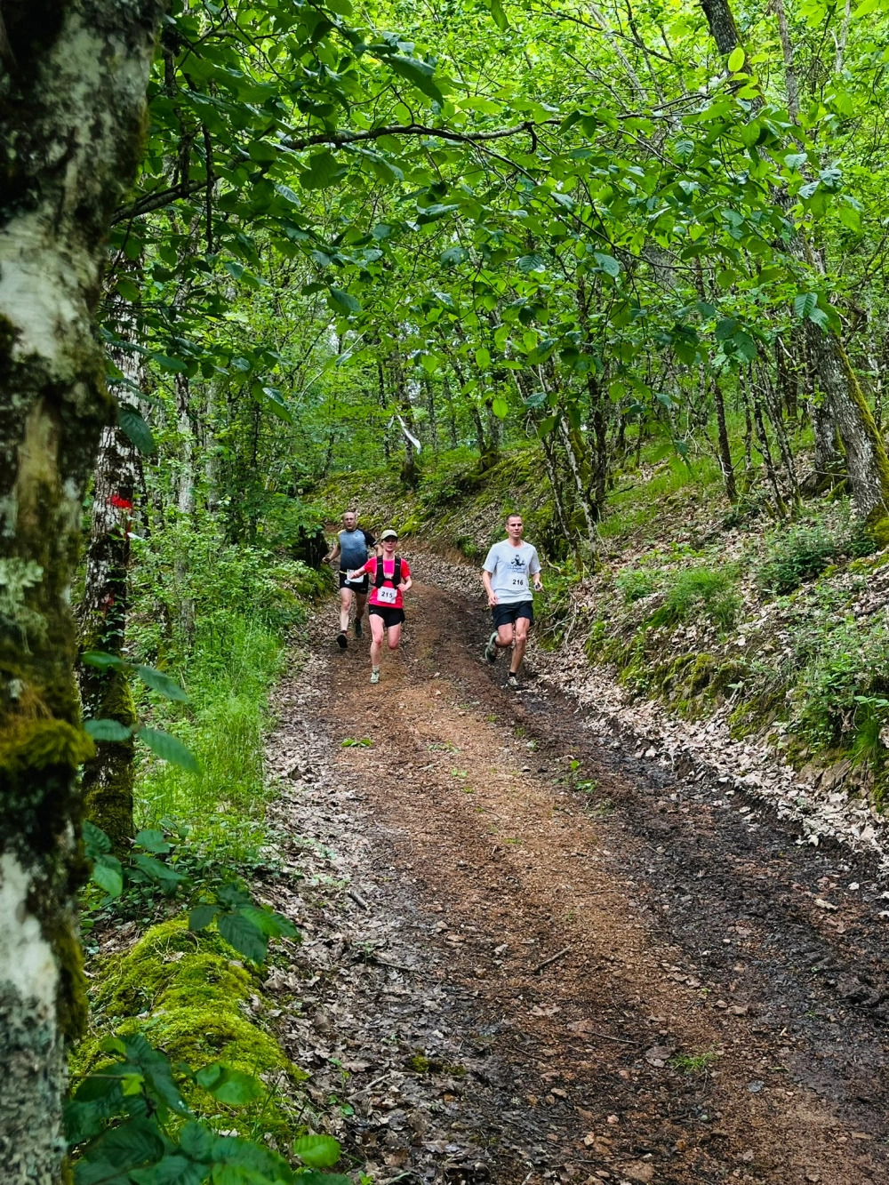 Trail des croix de rome - Photo 3