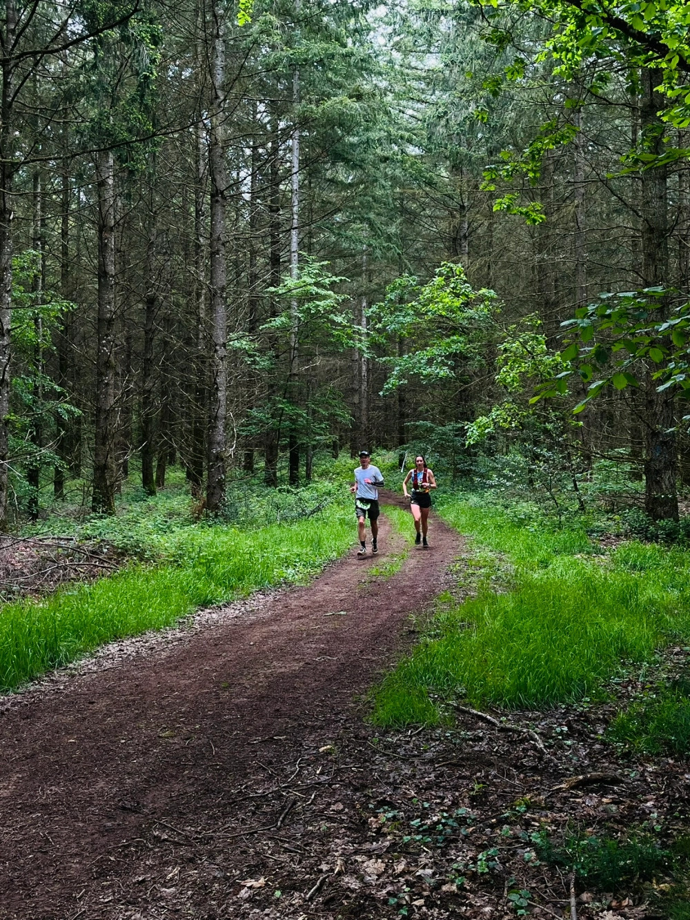 Trail des croix de rome