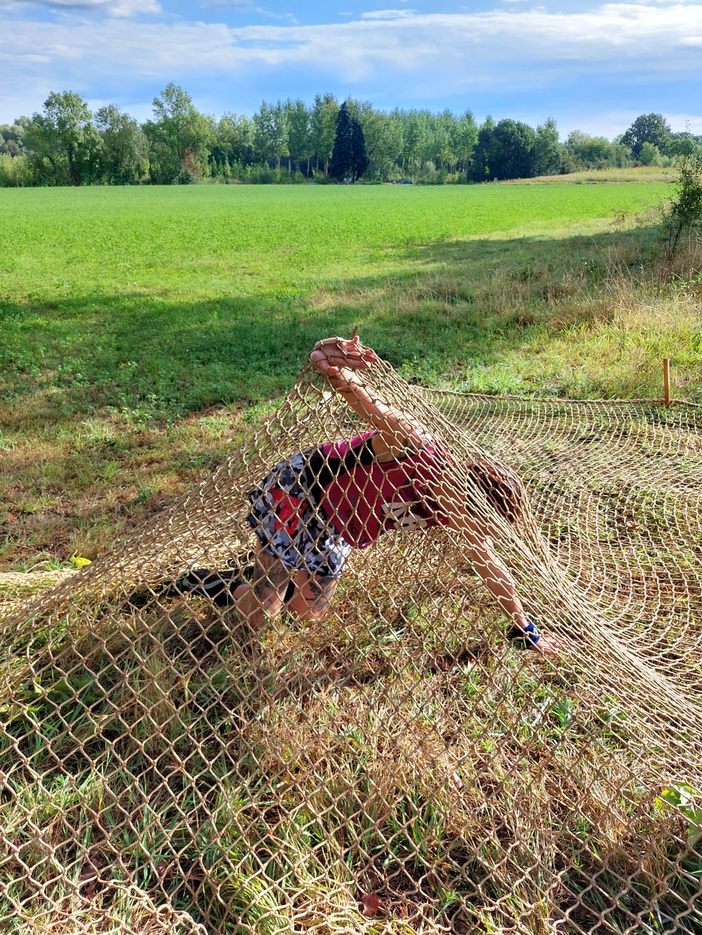 Marmule race - Photo 3