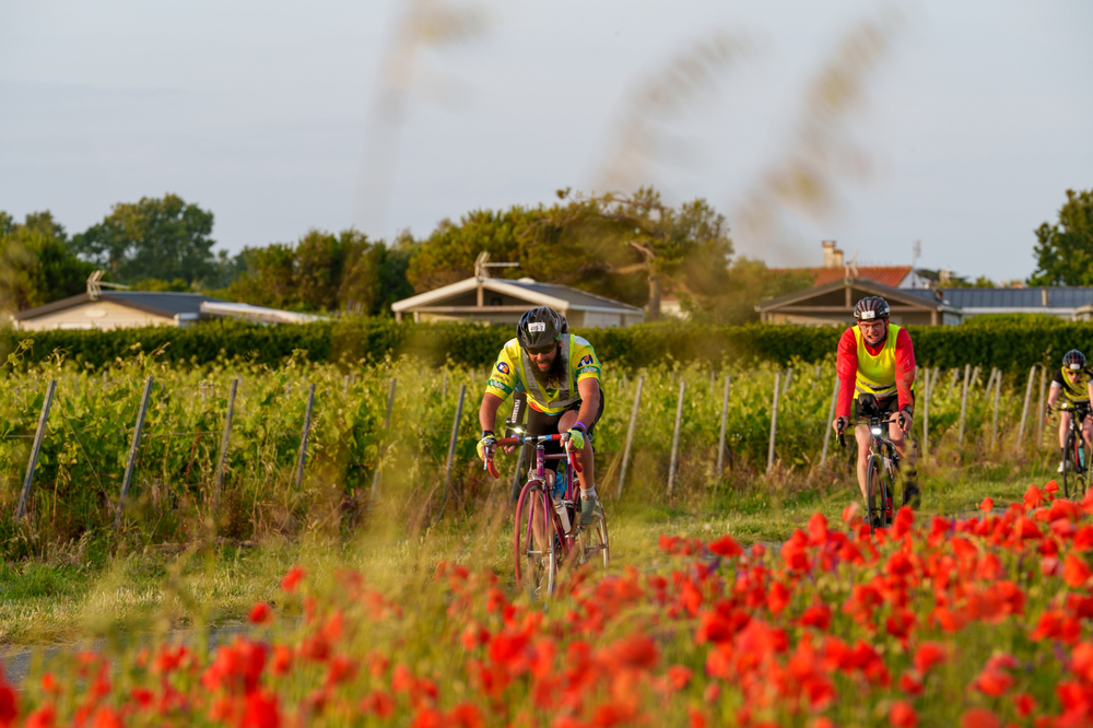 T24 Ile de Ré - Photo 5