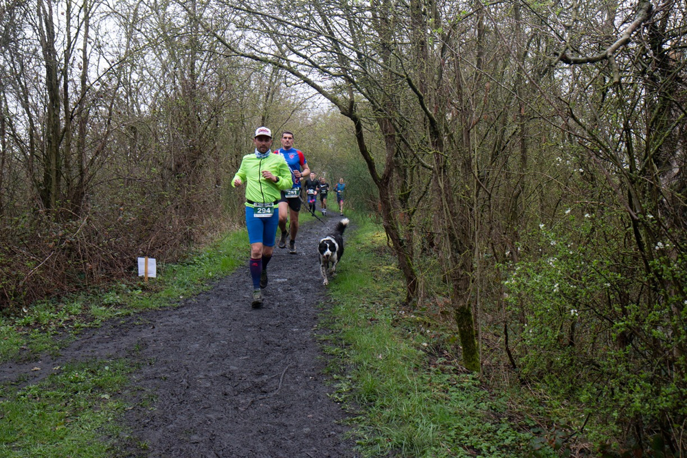 Les foulées de la Saint-Patrick - Photo 2