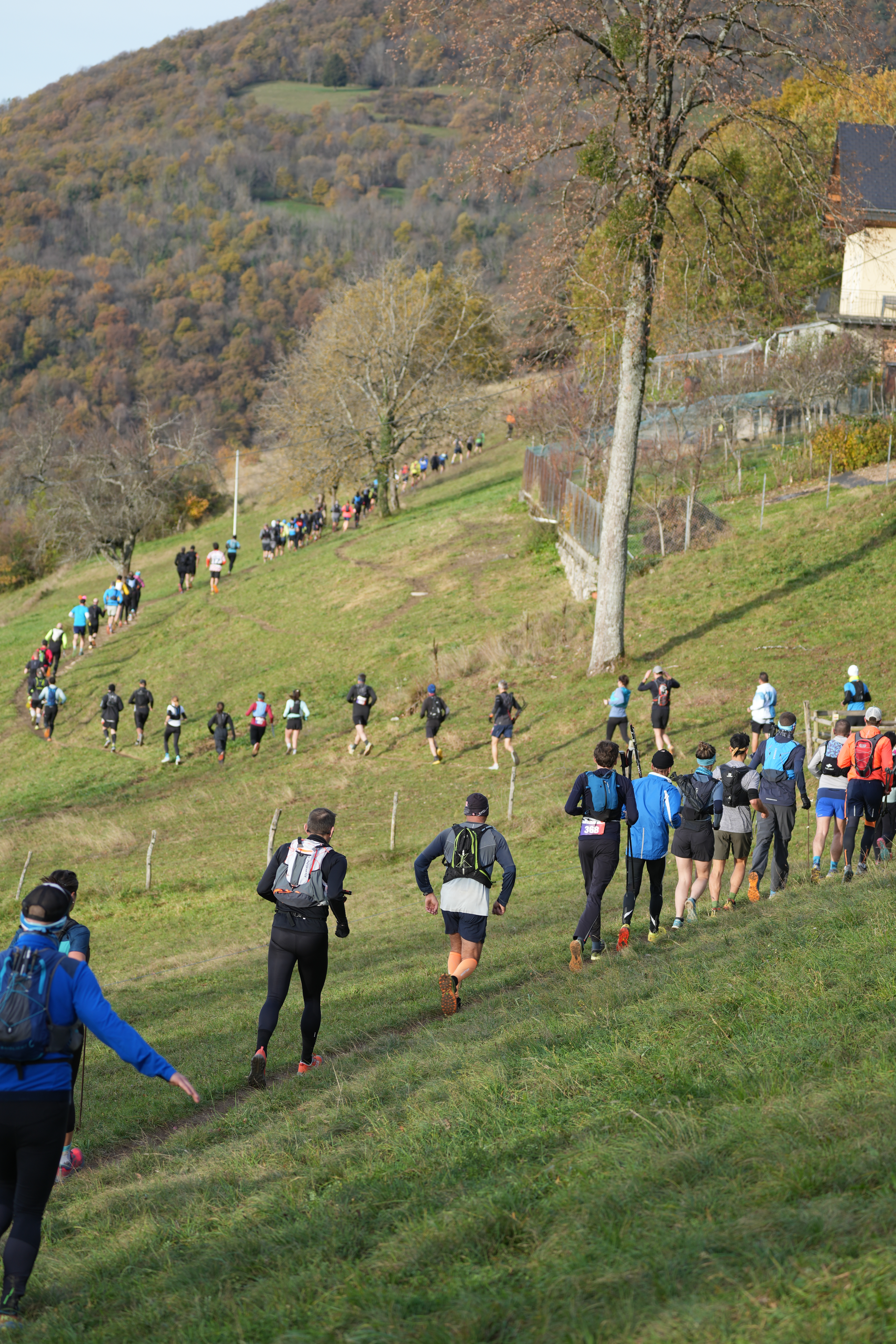 La Sange'Run - Photo 2